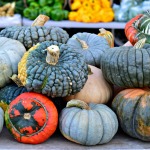 Fall at the Farmers Market