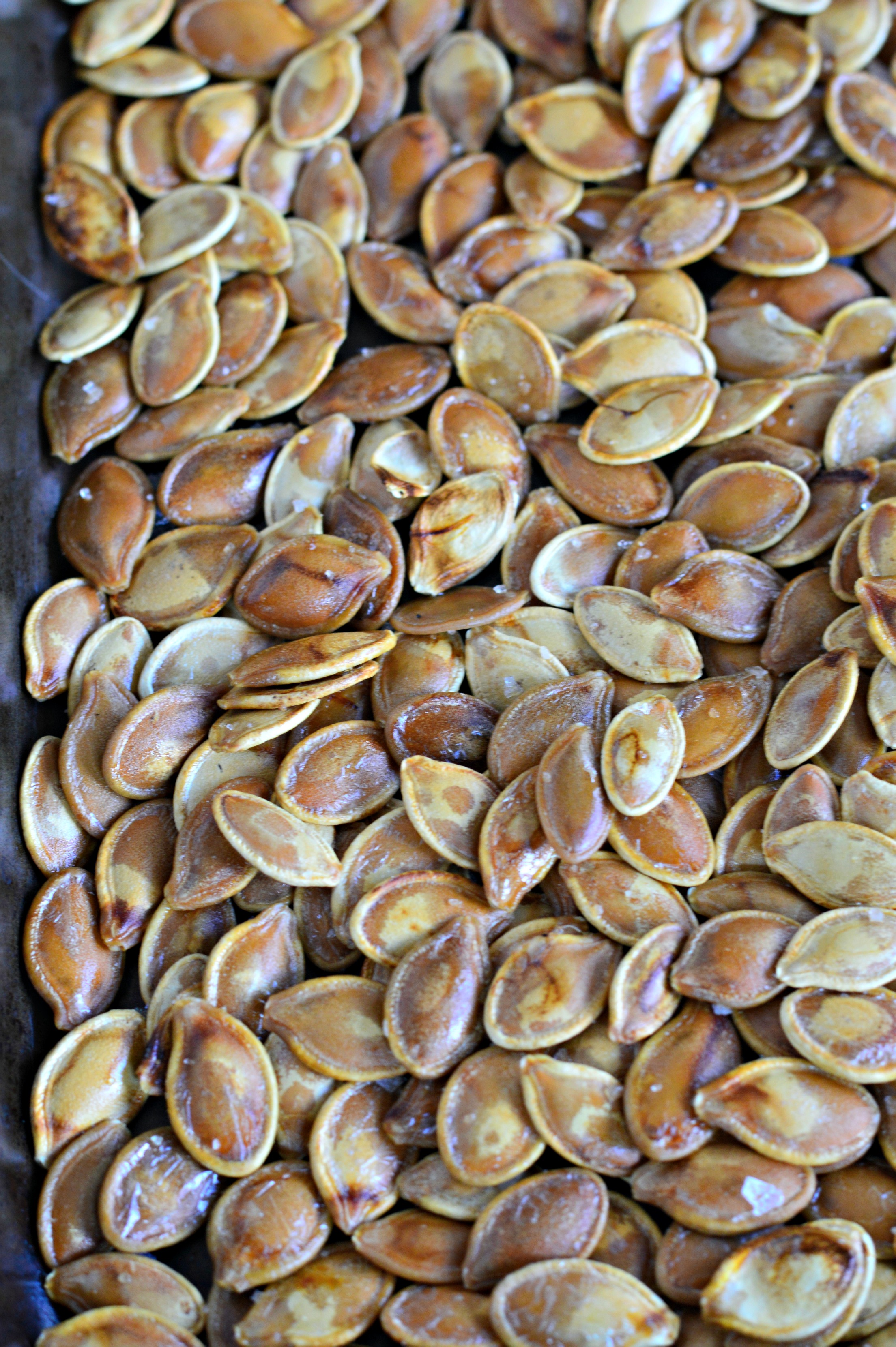 Roasted pumpkin seeds West Of The Loop