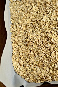 old fashioned rolled oats